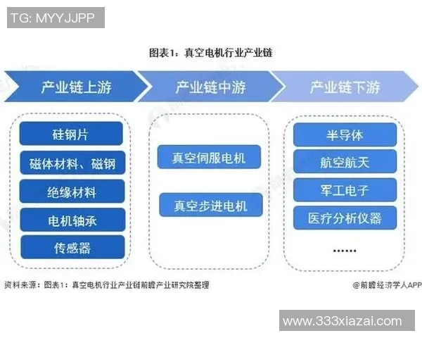 贝尔最新身价走势解析与职业生涯影响因素全景观察